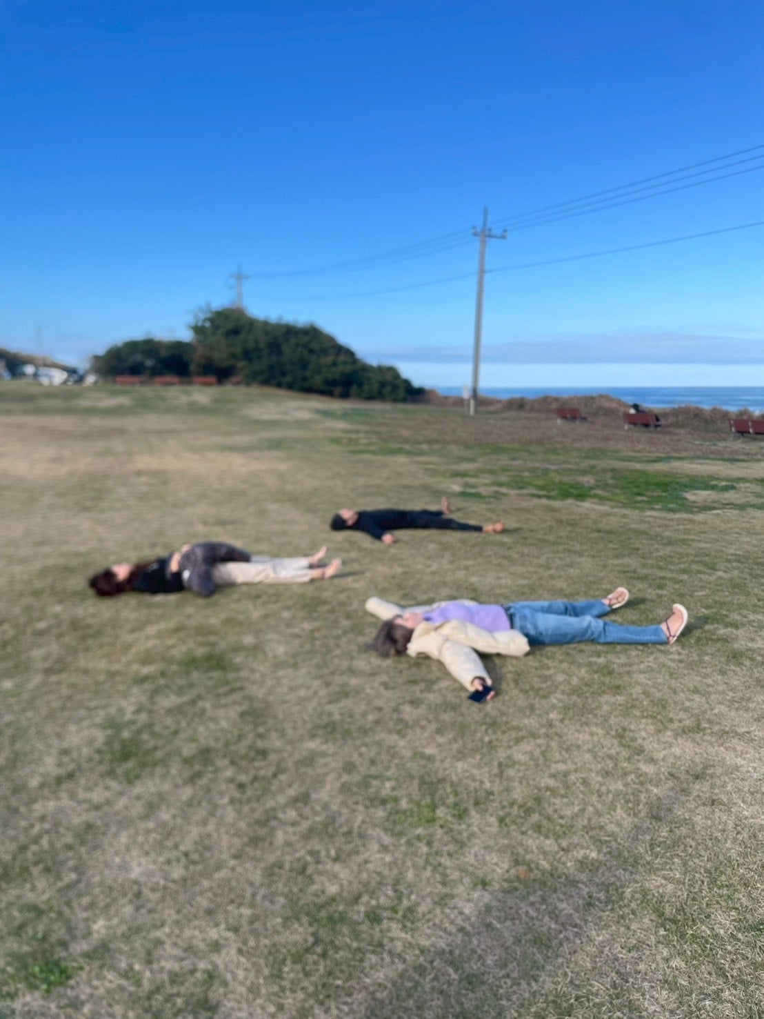 去年、飛んだ人の写真